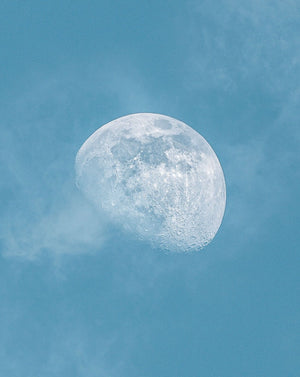 To The Moon And Back